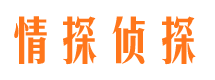 文县市婚外情调查